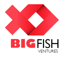Big Fish Ventures